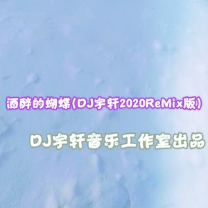 酒醉的蝴蝶(DJ宇轩2020ReMix版)