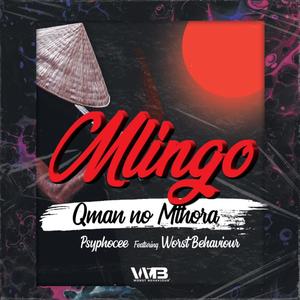 Mlingo(feat. Worst Behaviour)