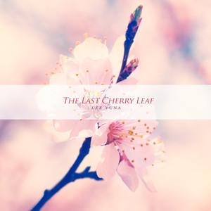 마지막 벚꽃 잎 (The Last Cherry Leaf)