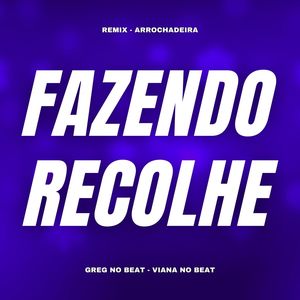 Fazendo Recolhe (Remix Arrochadeira)