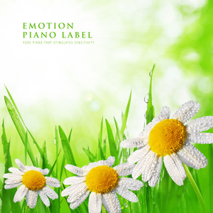 감수성을 자극하는 청아한 태교 피아노 (Pure Piano That Stimulates Sensitivity)