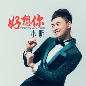 好想你