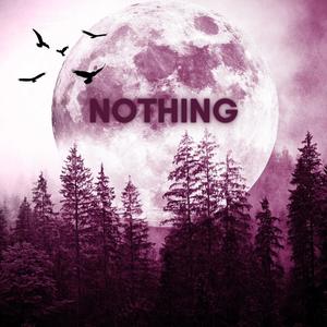 Nothing