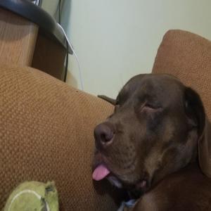 Title Of Your Sax Tape