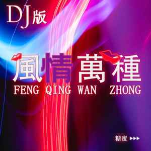 風情萬種 (DJ版伴奏)