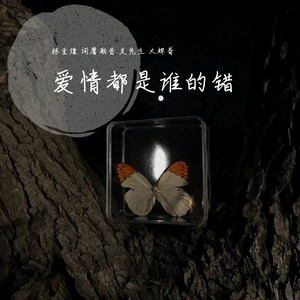 当爱在靠近 (DJ版)