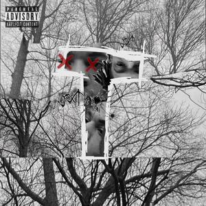 Ain't Say **** (feat. Aleem) (Explicit)