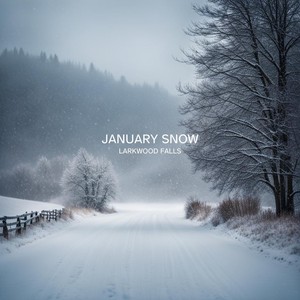 January Snow