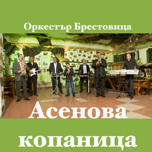 Василеново хоро