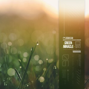 Green Miracle (Extended Mix)