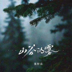 山谷的雾 (伴奏)