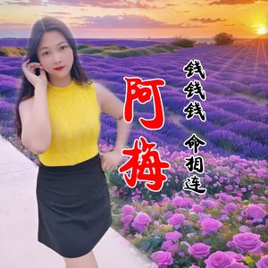 钱钱钱 命相连