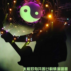 爱上你是我一生的错 (Live)封面