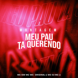 Montagem - Meu Pau Ta Querendo (Explicit)