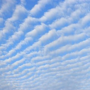 First of Far to Many