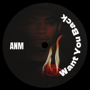 Want You Back (Explicit)