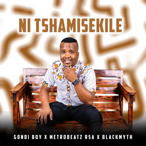 Ntshamisekile