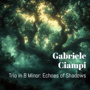 Trio in B Minor: Echoes of Shadows