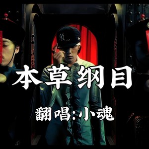 本草纲目封面