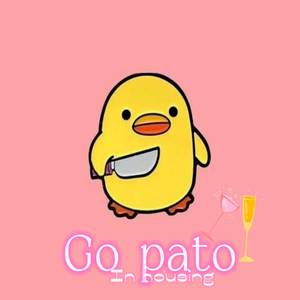 GO PATO IN HOUSING (Radio Edit)