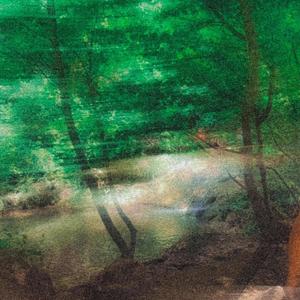 Jungle (Explicit)