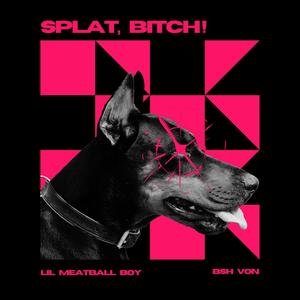 SPLAT, *****! (feat. BSH VON) (Explicit)