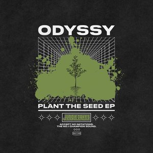Plant The Seed