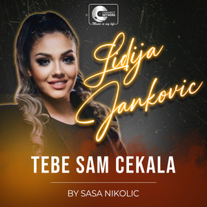 Tebe sam cekala (Cover)