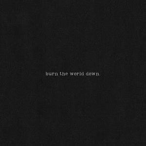 Burn The World Down