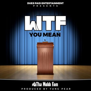 WTF You Mean (Explicit)