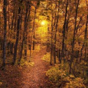 nice2meetu (p.brakence)