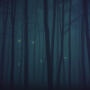 The Forest Has Eyes