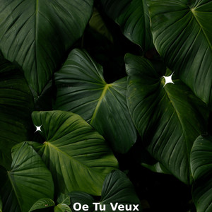 Oe Tu Veux