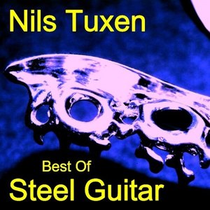 Best of Steel Guitar