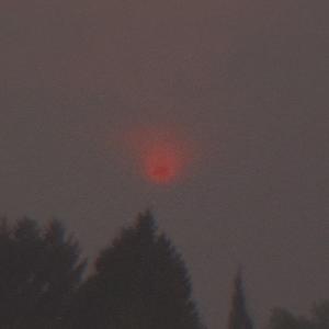 TornBetweenLoveAndDespair (Explicit)