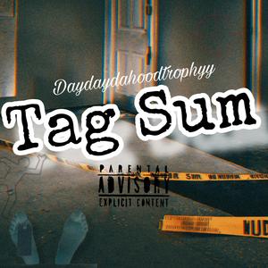 Tag Sum (Explicit)