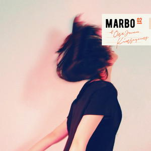 스쳐가는 (掠过的)