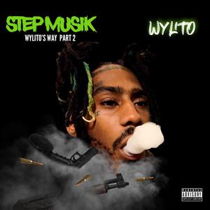 Sneaky Type (Explicit)