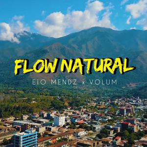 Flow Natural (feat. Volum)