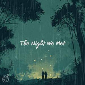 The Night We Met (Instrumental)