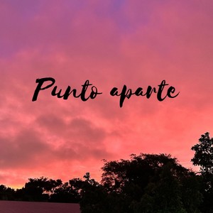 Punto aparte