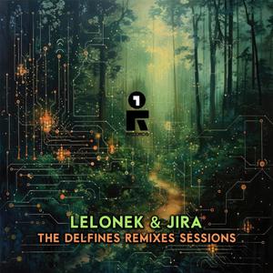 The Delfines Remix Sessions