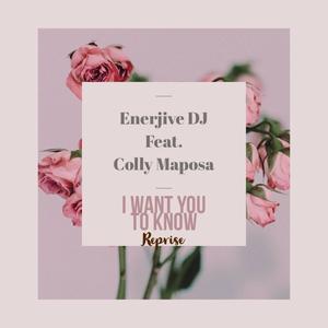 I want you to know[feat. Colly Maposa] (Reprise)