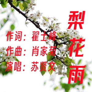 梨花雨伴奏 (伴奏)