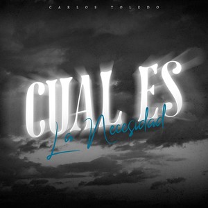 CUAL ES LA NECESIDAD