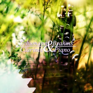 Fantasiestücke, Op. 73 - I. Zart Und Mit Ausdrück