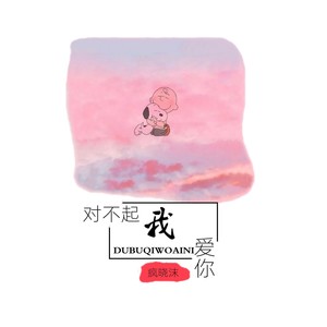 疯晓沫 - 对不起我爱你