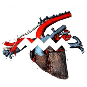 No Love (Slowed|Reverb)