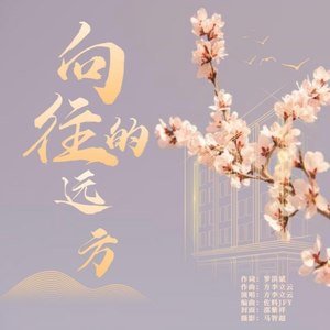 向往的远方