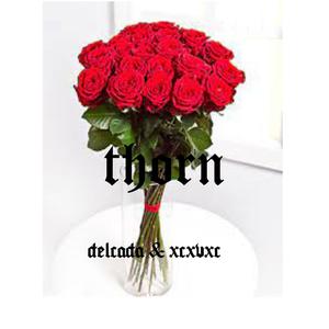 thorn (feat. xcxvxc) [Explicit]